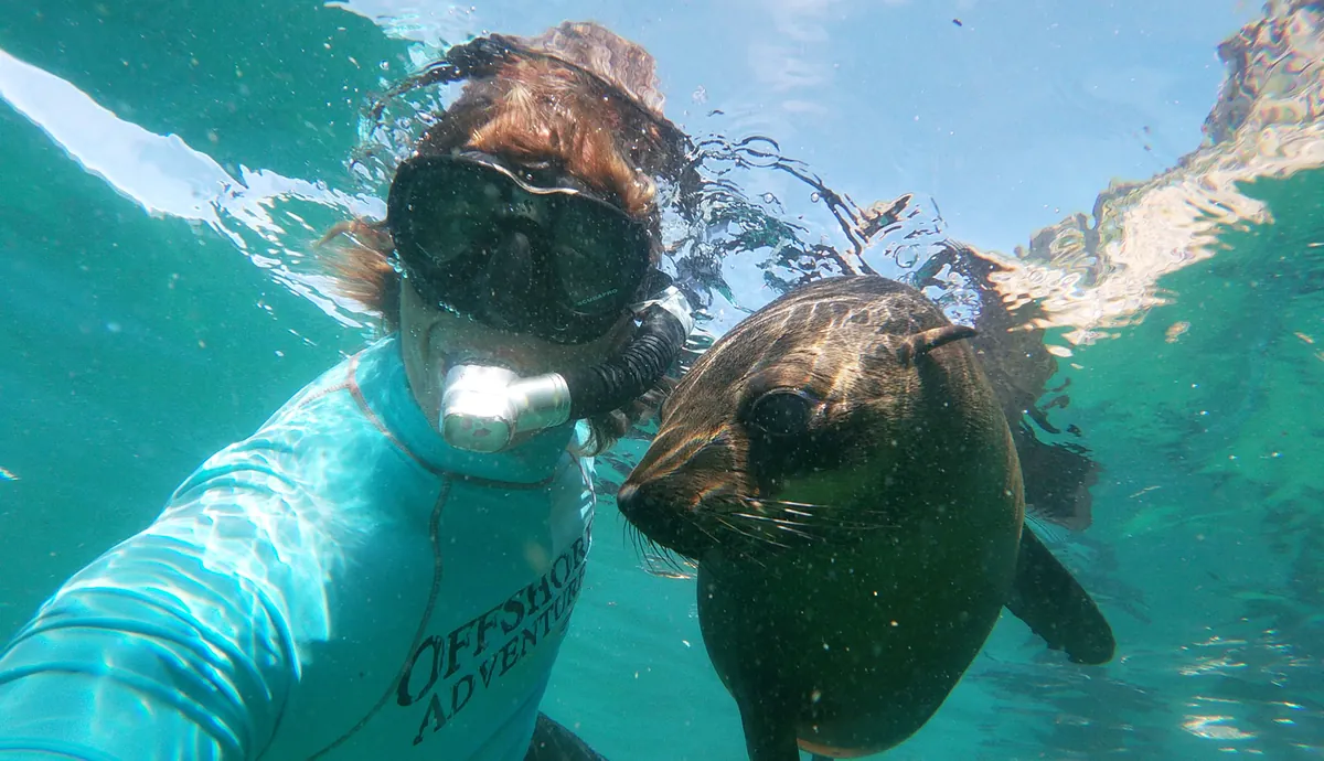 A guide in an Offshore Adventures rash vest takes a selfie underwater with a Cape fur seal at Robberg